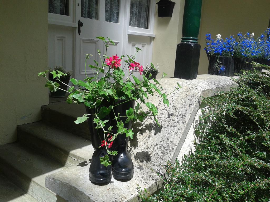 Westleigh House Farm Bed & Breakfast Bideford Oda fotoğraf