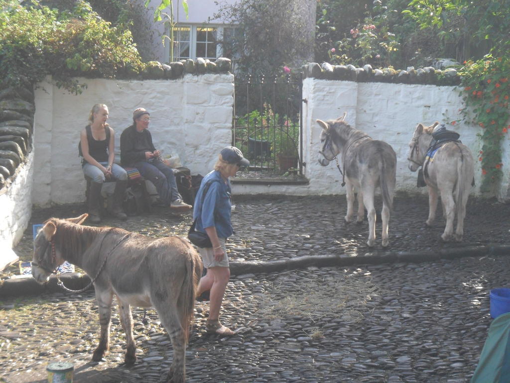 Westleigh House Farm Bed & Breakfast Bideford Dış mekan fotoğraf